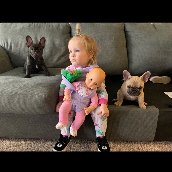 Count your Blessings 😇 meet my new grand pups! - Picture 2 of 10